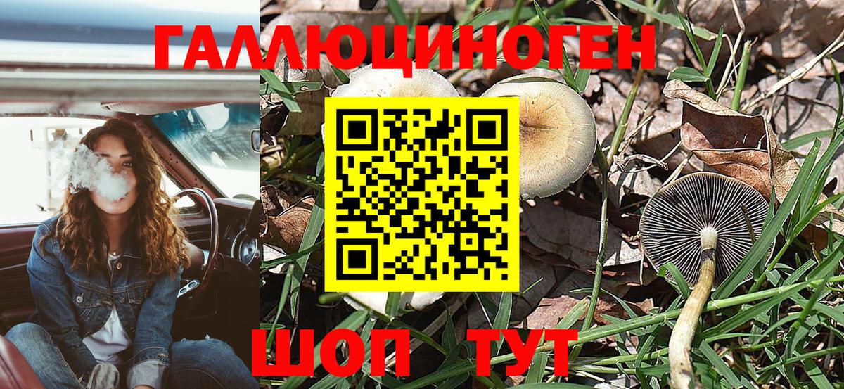 Галлюциногенные грибы Psilocybine cubensis  Вход с VPN  Мыски 